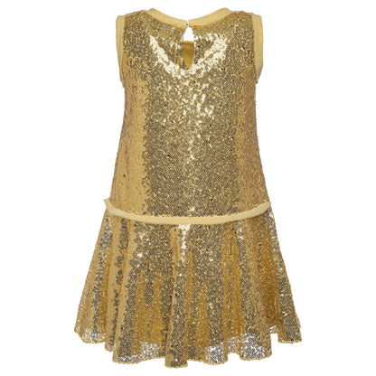 Sequin dress with embroidery