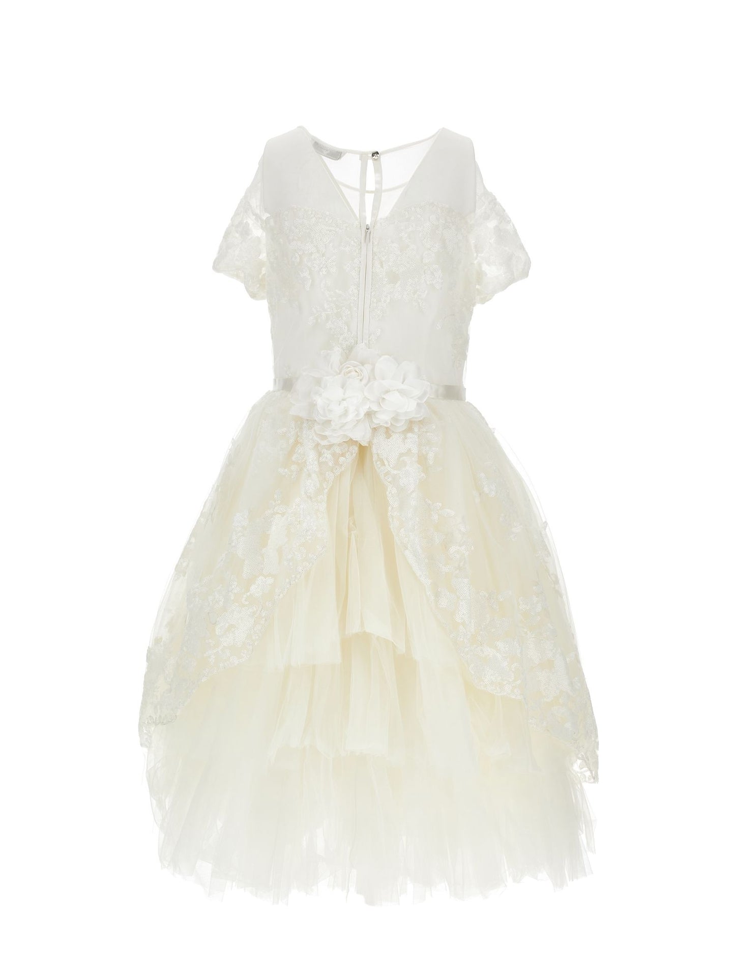 Sequin embroidered dress