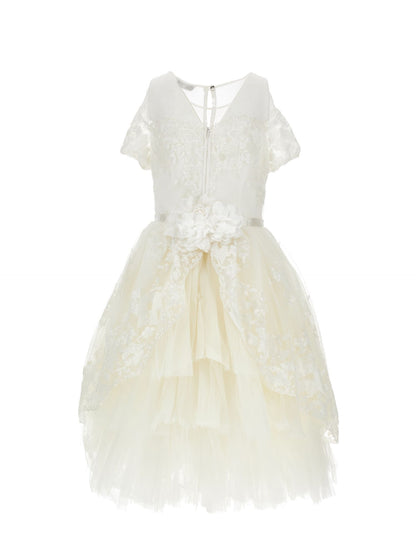 Sequin embroidered dress