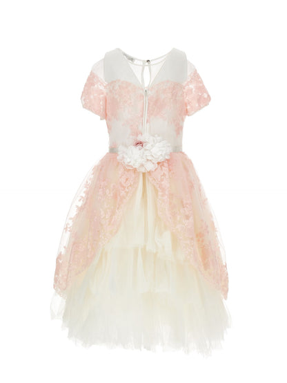 Sequin embroidered dress