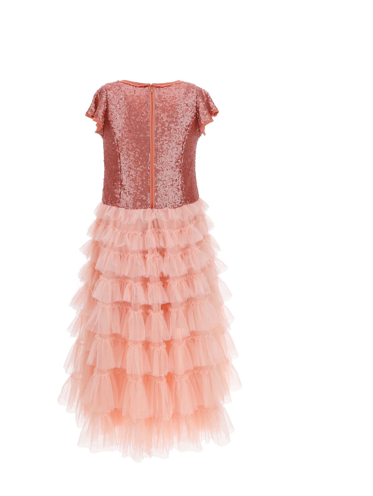 Sequin and tulle dress